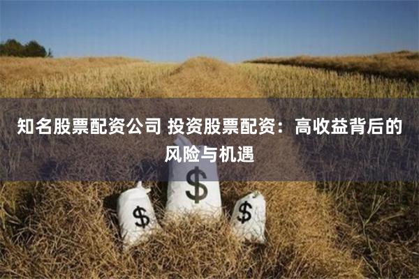 知名股票配资公司 投资股票配资：高收益背后的风险与机遇