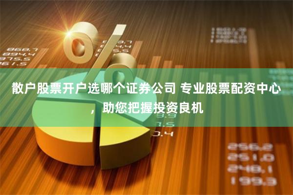 散户股票开户选哪个证券公司 专业股票配资中心，助您把握投资良机