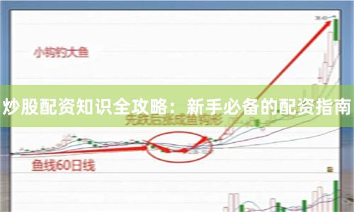 炒股配资知识全攻略：新手必备的配资指南
